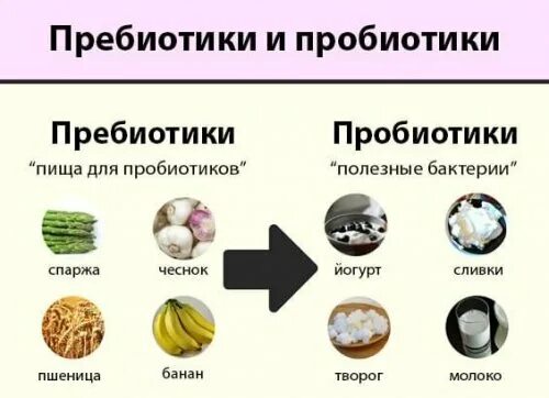 Чем заменить пробиотики в домашних условиях В чем содержатся пробиотики и пребиотики