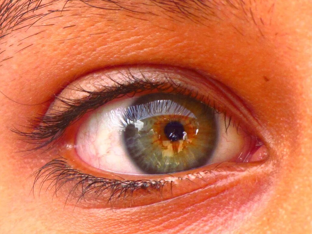 Янтарный цвет глаз. Hazel цвет глаз. хейзел глаза. цвет глаз hazel eyes. глаза цвета янтаря.