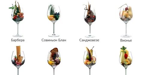 Вкус вина