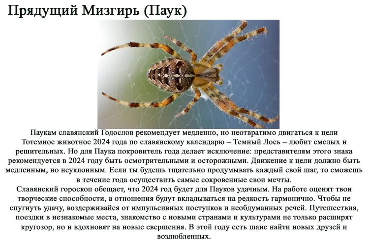 Год шершня по славянскому календарю 2025 Славянские тотемы: их значение у древних народностей, основные покровители людей