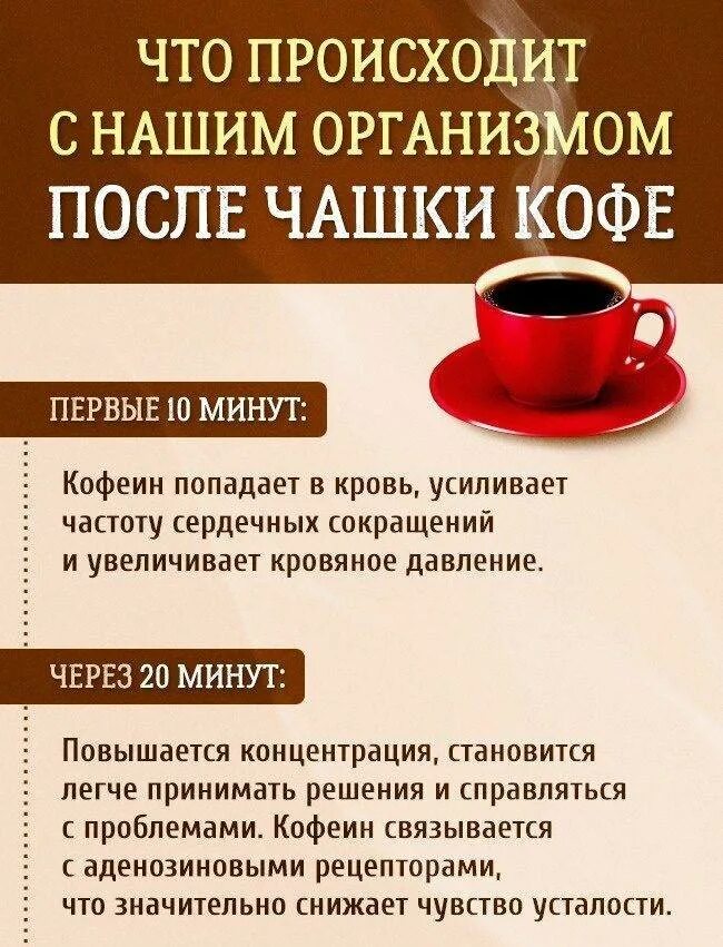 Можно ли пить кофе при головных болях. Кофе повышает или понижает давление. кофе давление поднимает или снижает. кофе повышает давление или понижает давление. что происходит с нашим организмом после чашки кофе.