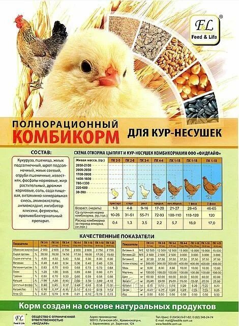 Куры сколько корма в сутки