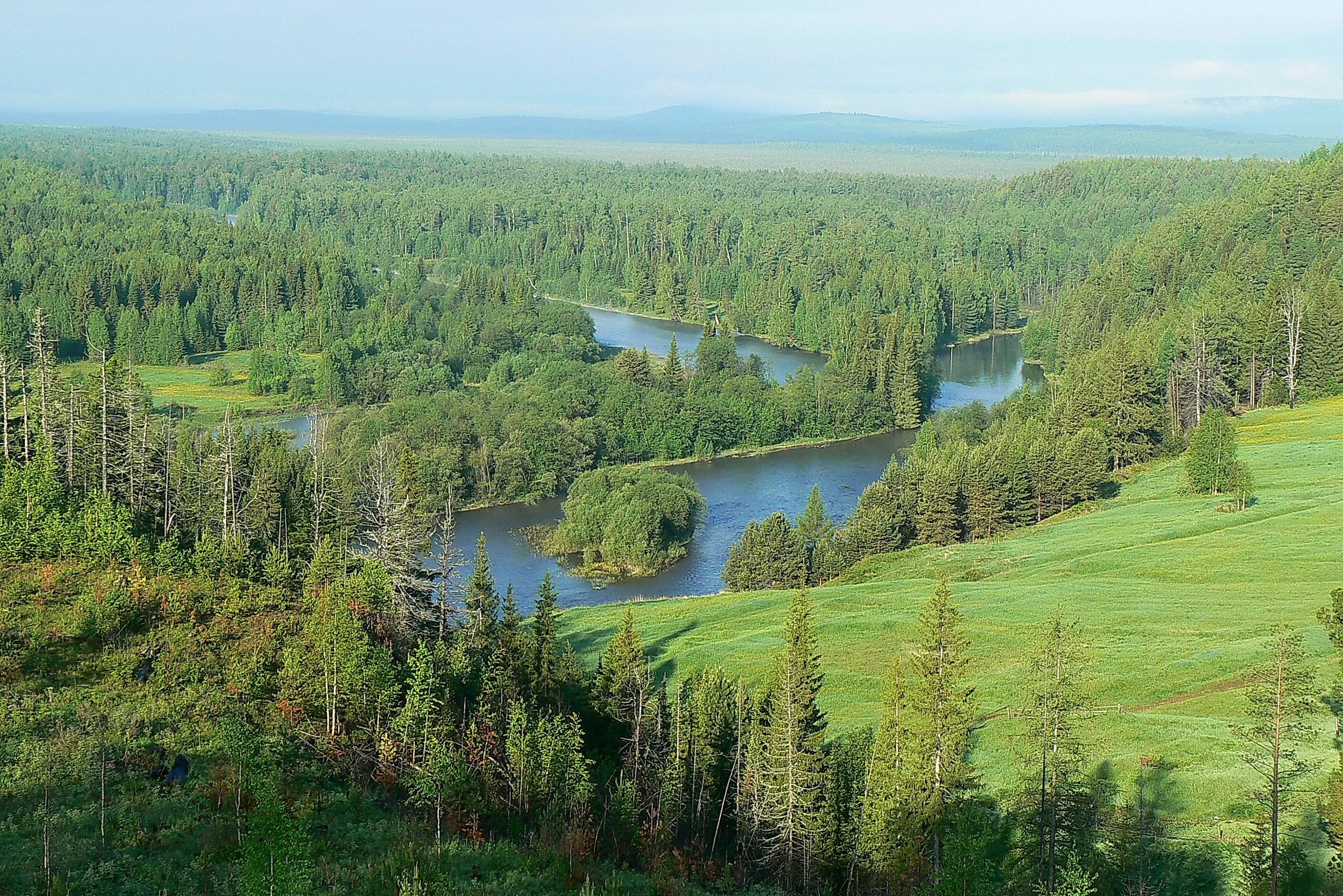 Лесные зоны воды. Центральносибирский заповедник Красноярского края. Тунгусский заповедник. Тунгусский заповедник Красноярского края. Тайга природная зона.