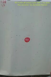 Пороха 4