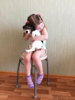 Подарили родителям щенка