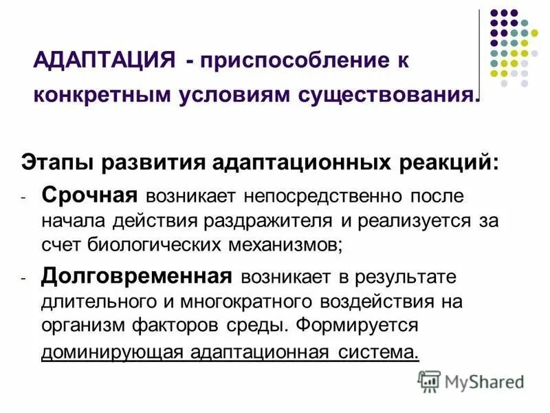Фазы развития процесса адаптации. Стадии адаптации к физическим нагрузкам. Этапы адаптации персонала. Стадии формирования адаптации. Этапы адаптации работников в организации:.