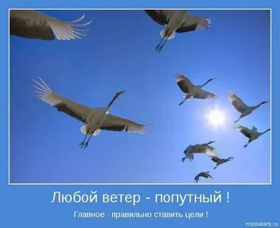 Люба ветер