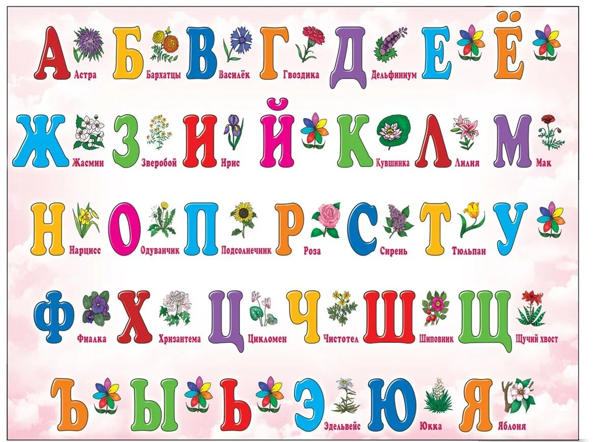 Алфавит для детей 7 лет. Русский алфавит. азбука для девочек. азбука для детей дошкольного возраста. цветные буквы на плакате азбука.