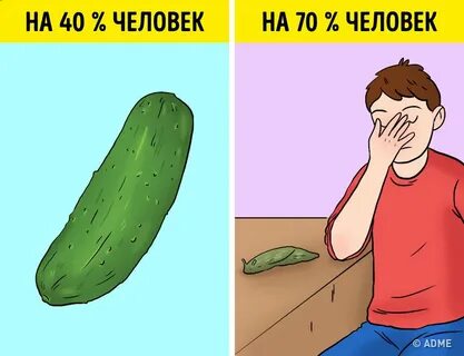 Днк человека и банана
