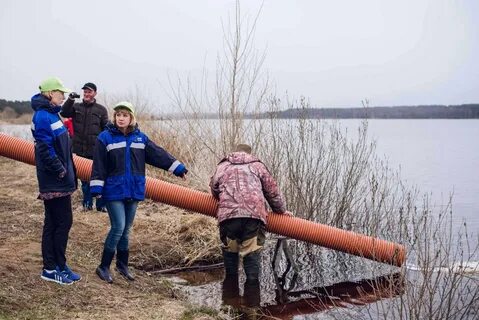 Выпустили мальков
