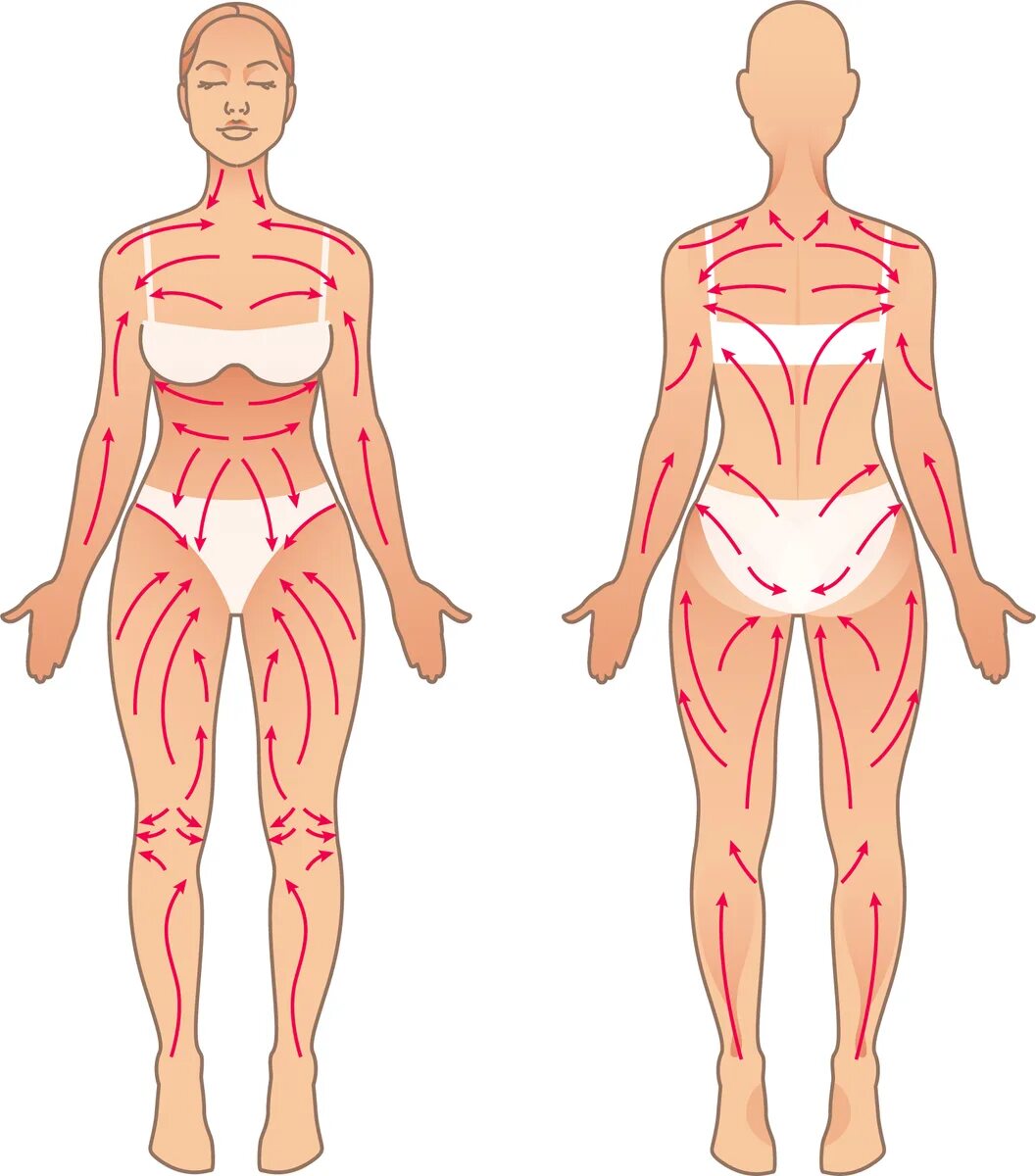 Лимфомассаж. Массажные линии тела схема лимфа. Схема лимфодренажного массажа тела. Массаж лимфы тела схема. Лимфатическая система массажные линии.