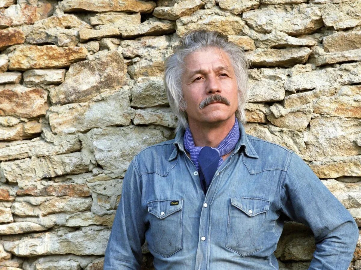 Будулай актер. Михай волонтир. волонтир михай ермолаевич. михай волонтир будулай.