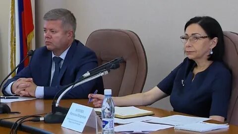 Отставка котовой