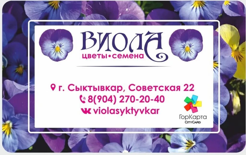 виола магазин в сыктывкаре. виола сыктывкар. виола сыктывкар. советская 22 сыктывкар виола. магазин виола.