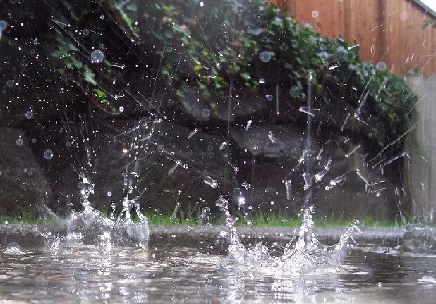 Природу дождь 7 лет. Raining nature PNG.