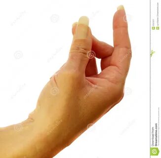 5 перстов