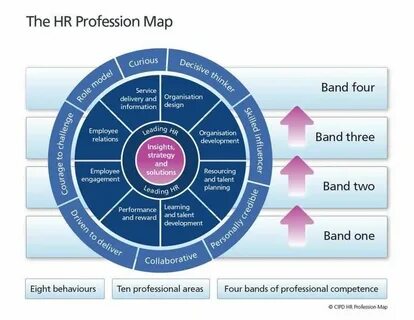 Hr проекты компании
