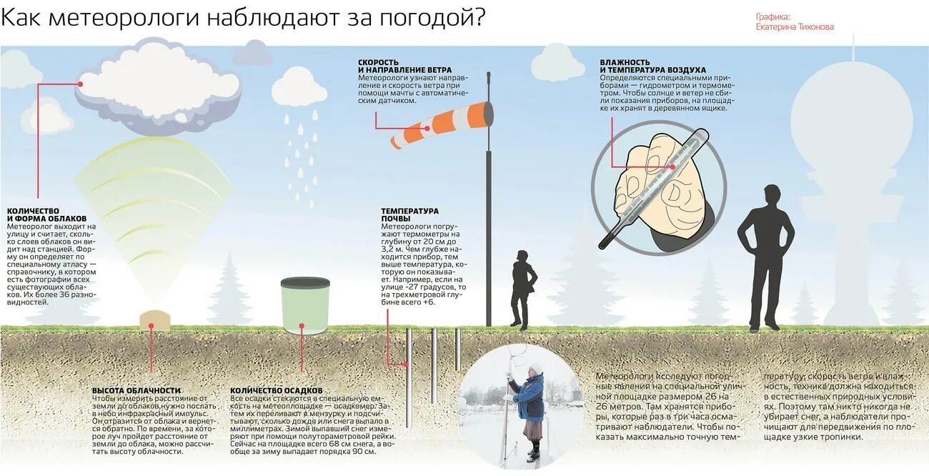 Как называют людей которые наблюдают. Как называют людей которые наблюдают