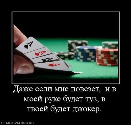 Шутки про карты. Покерный юмор в картинках. Шутки про карты. Покерные демотиваторы. Шутки про карты.