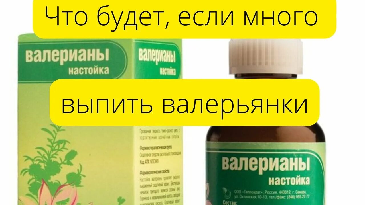 Что будет если выпить много валерьянки. Валерьянка настойка передозировка.