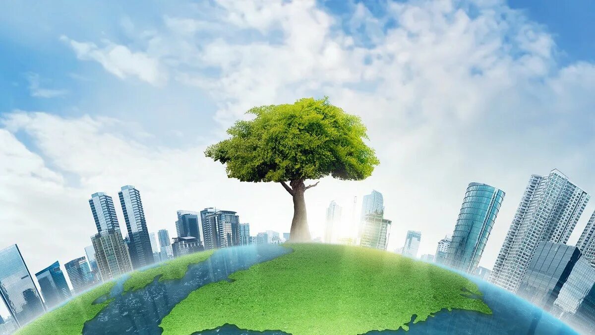 экологическая экспертиза.