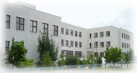 Гимназия номер 5