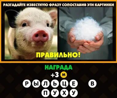 Рыльце у тебя в пуху значение выражения