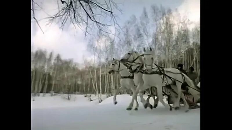 три белых коня прикол. три белых коня из к/ф чародеи. кадры из фильма чародеи с лошадьми. тройка белых лошадей. три белых коня чародеи минус.