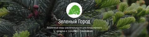 Зеленый брянск телефон