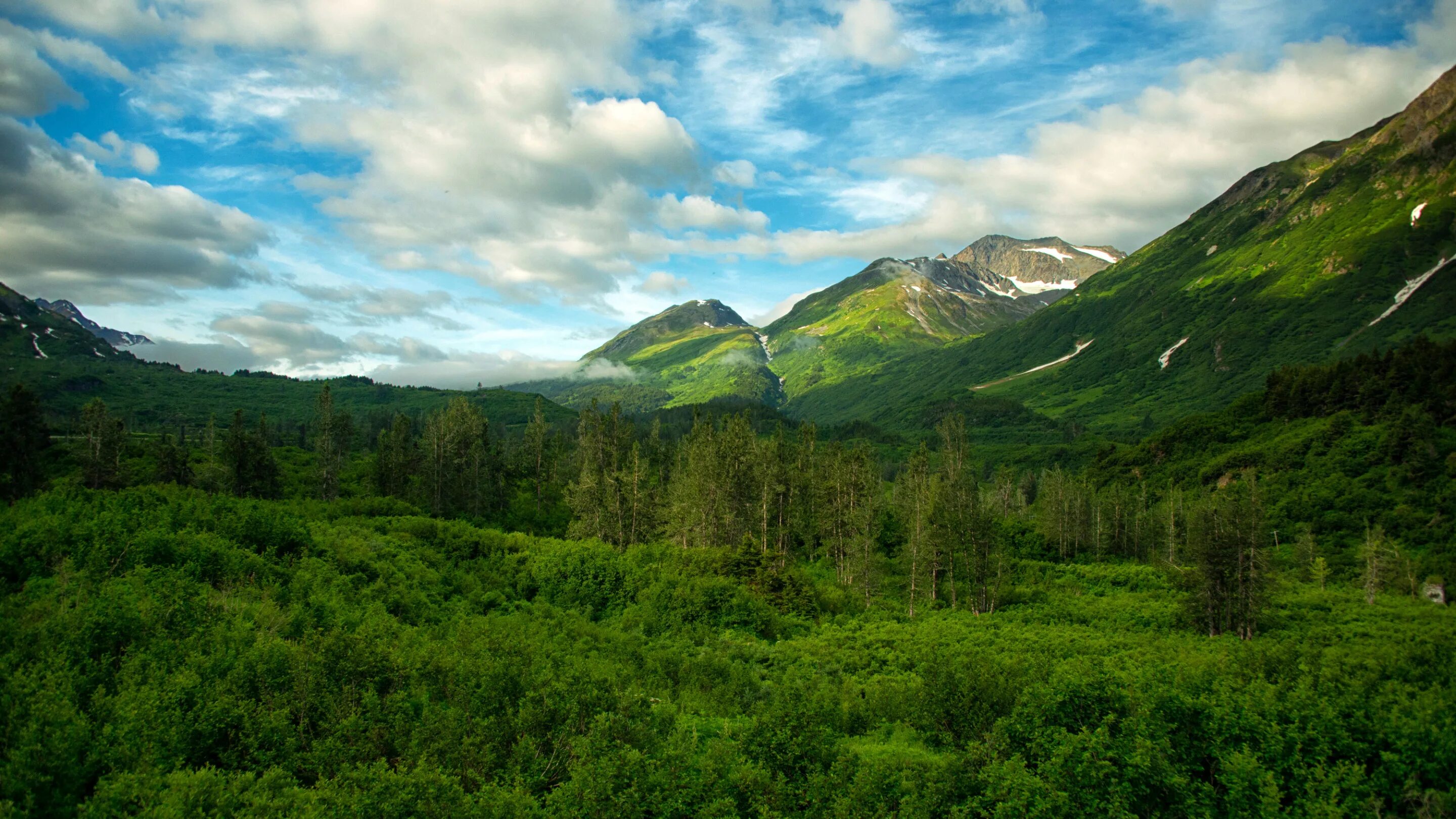 Чугач (национальный лес). Чугачские горы Аляска. Штат Аляска природа. Штат Грин Маунтин. Горы поросшие лесом