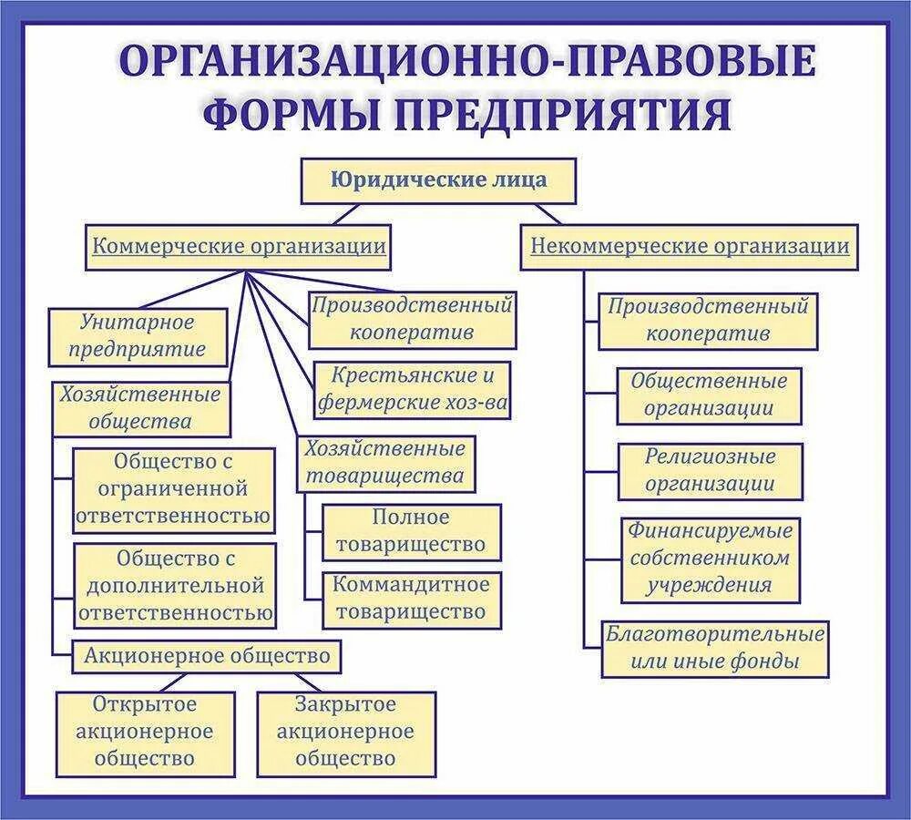 Организационно правовые формы 2024