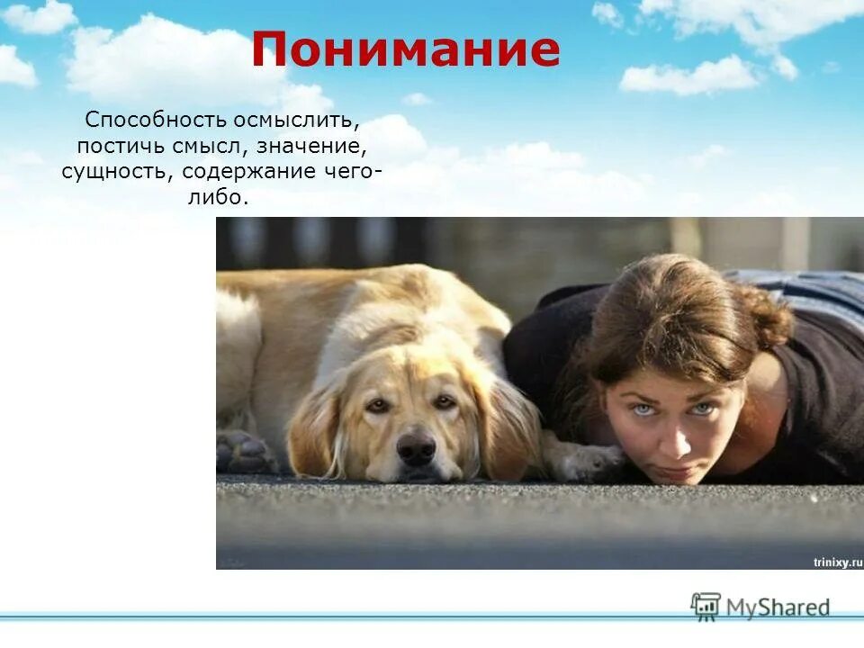 люди и животные. язык тела собаки. кевин ричардсон зоолог. поведение собак. человек и домашнее животное.