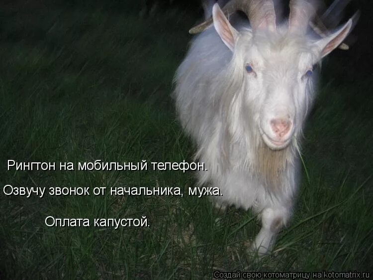 Ringtones. очень старый телефон. звонки на телефон. прикольные звонки на телефон. рингтон на телефон начальник звонит.