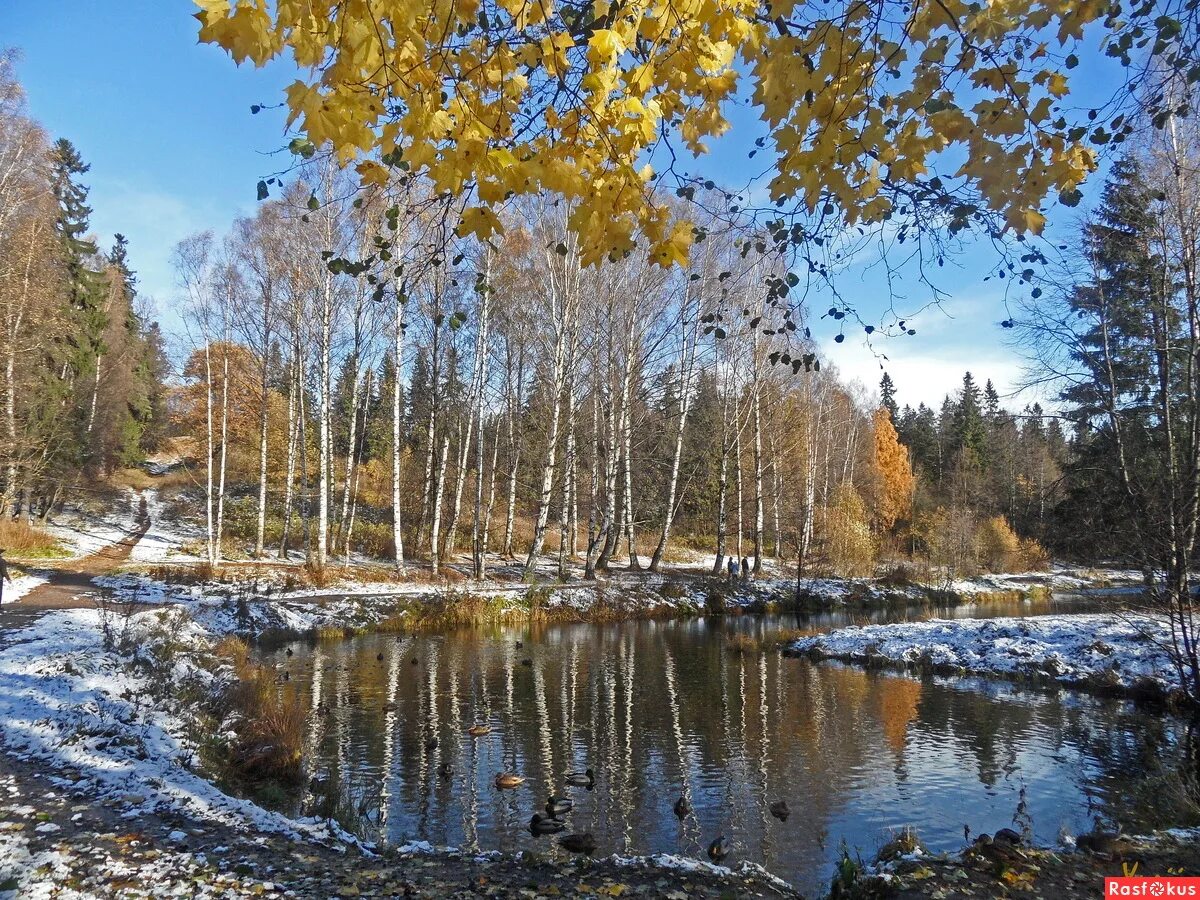 Красивые картинки ноября. Поздняя осень. Ноябрь. Красивая природа ноября. Красивые ноябрьские пейзажи.