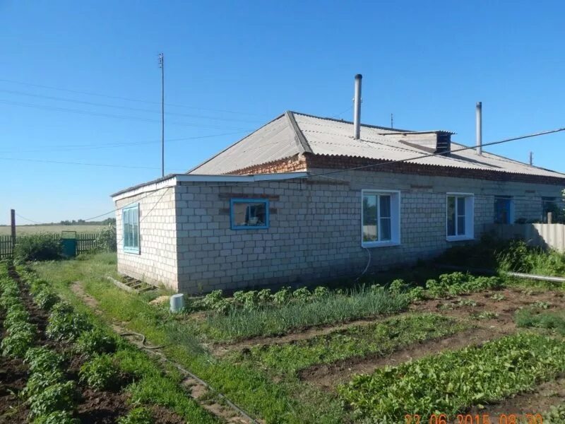 Алтайский край село новосельск. Петровка алтайский край. Погода в новосельском алтайского края. Погода в новосельском алтайского края. Погода в новосельском алтайского края.