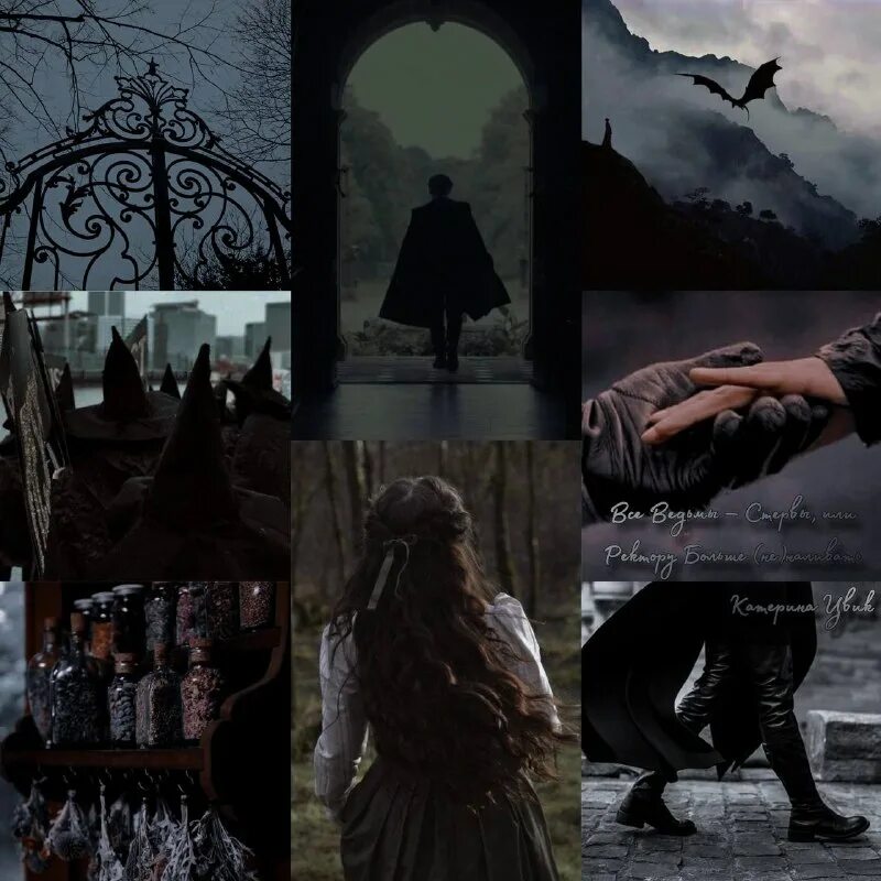 елизавета дворецкая зов валькирий. все ведьмы стервы или ректору слушать. все ведьмы стервы или ректору слушать. любовное фэнтези про ведьму с юмором. дракон для беглой невесты.