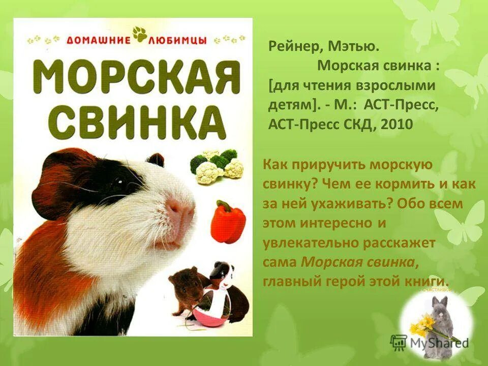 Чем можно кормить морскую свинку. Рацион морской свинки. Книги о морских свинках для детей. Книги про морских свинок. Чем можно кормить морскую