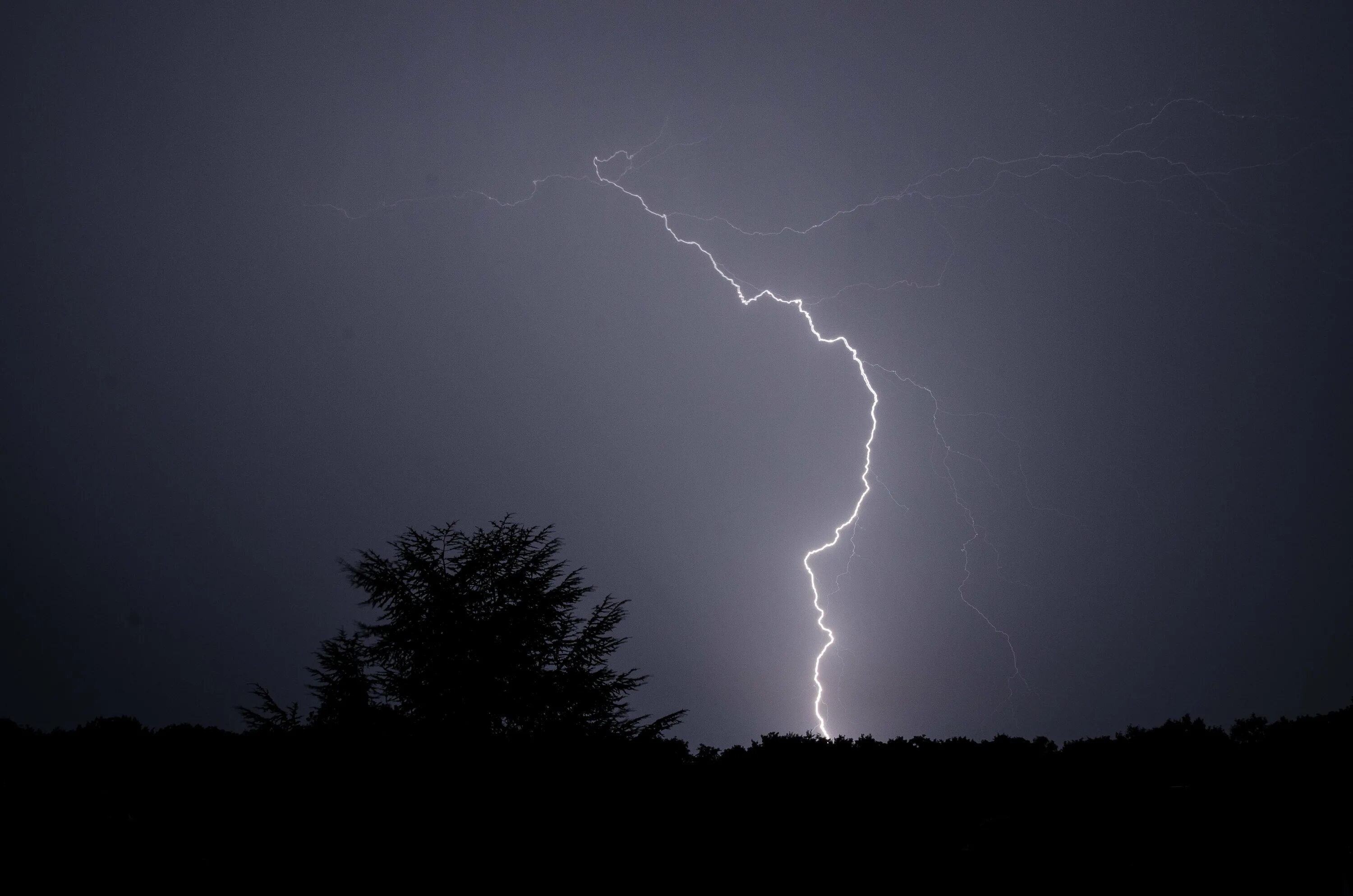 молния на черном небе. гроза. гроза молния. грозы белые. белая гроза.