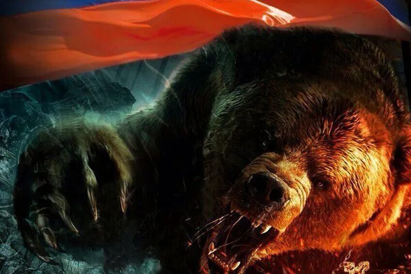 Сайт русский медведь. Сайт русский медведь. Медведь в ушанке. Русский медведь. Русский медведь добрый.
