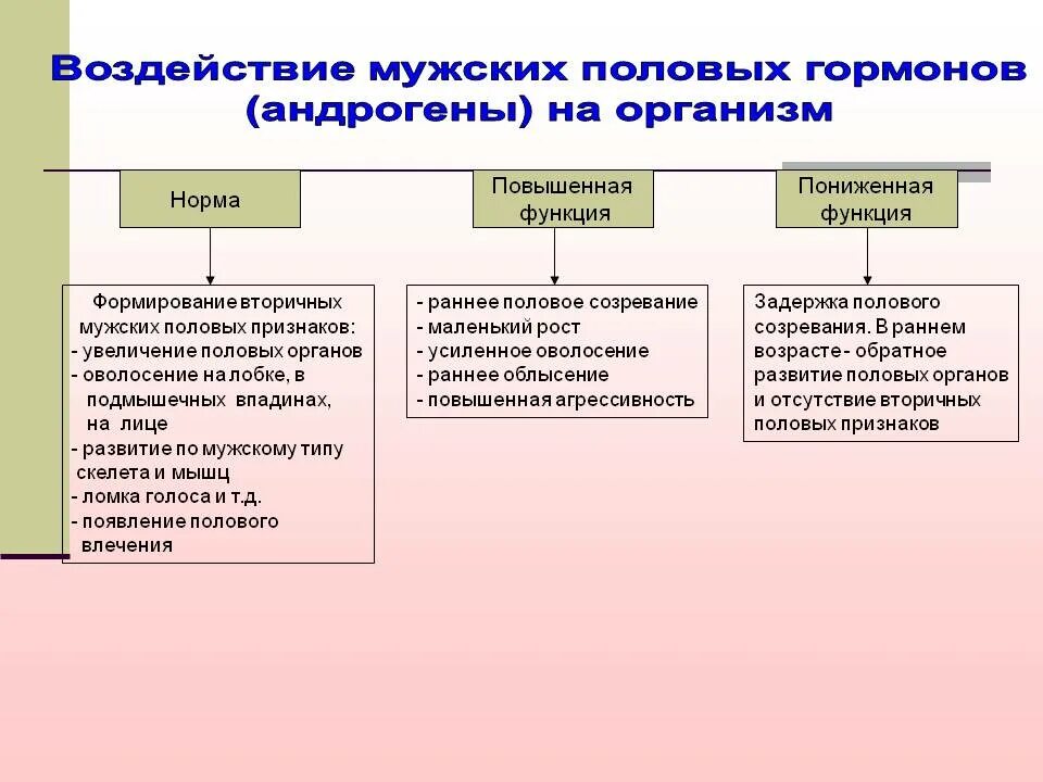 Эстроген влияние на организм. Роль половых гормонов. Влияние женских половых гормонов на организм. Влияние гормонов половых желез. Женские и мужские половые гормоны функции.