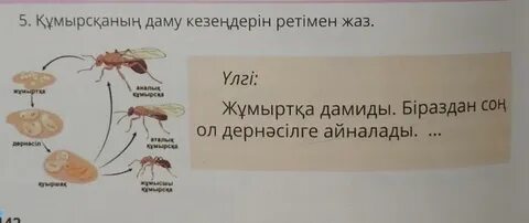 Чаттағы слайд