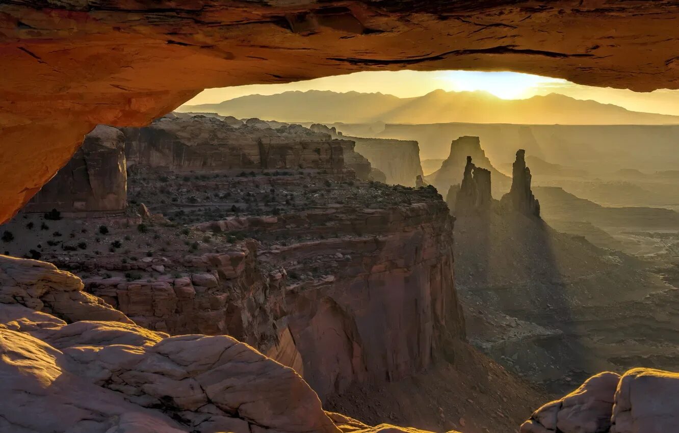 Mesa ark