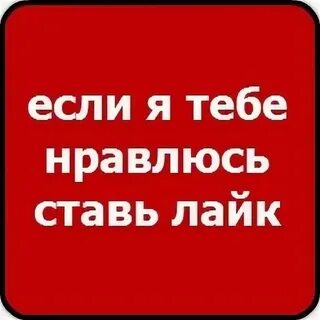 Нет которую ты включи