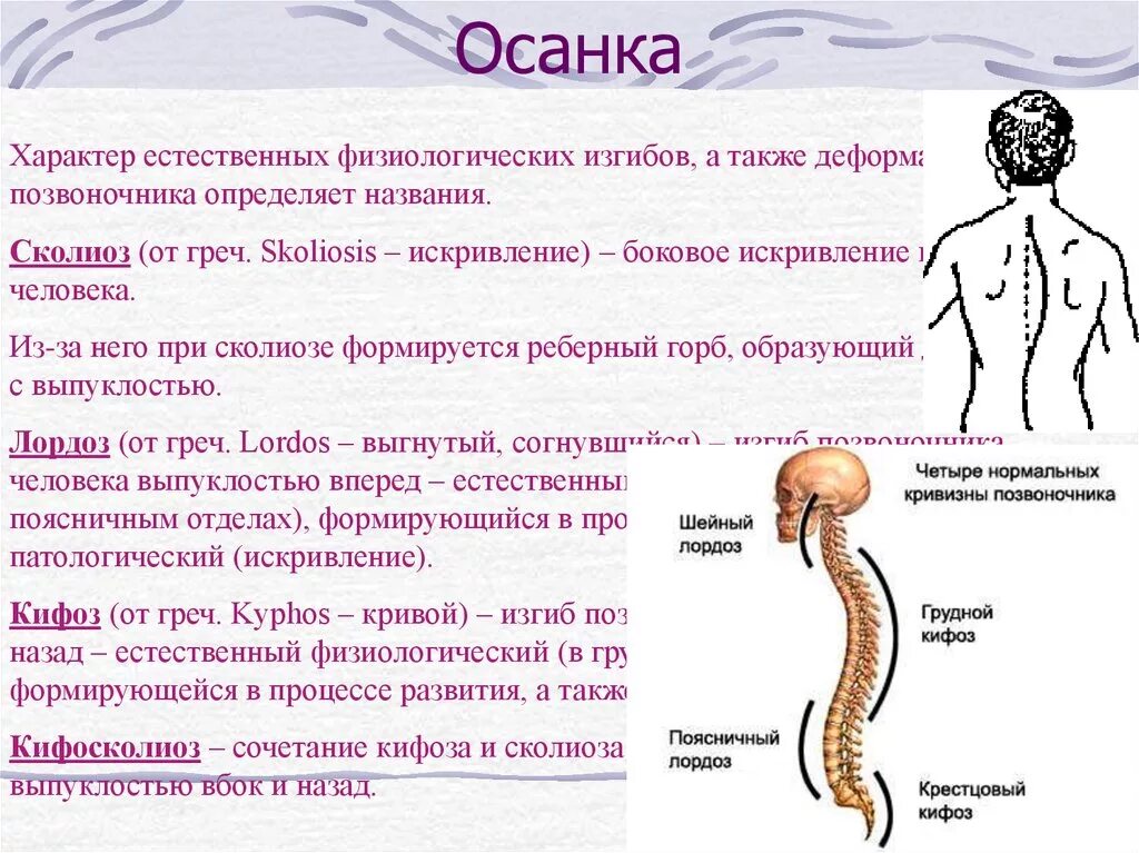 Искривление позвоночника сколиоз и кифоз. Лордоз кифоз изгибы. Нарушения осанки лордоз кифоз. Искривление позвоночника кифоз и лордоз. Особенности изгибов