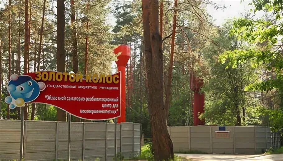 Лагерь золотой колос нижегородская область. Золотой колос лагерь арзамас. Лагерь золотой колос нижегородская область. Золотой колос лагерь арзамас. Лагерь золотой колос нижегородская область.
