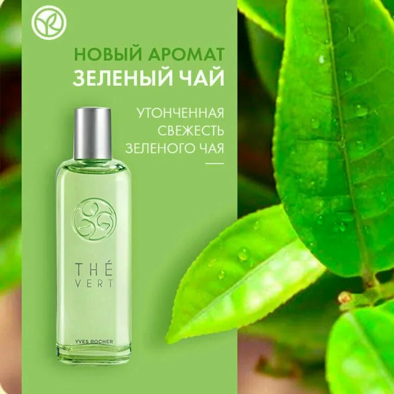 Ив роше свежесть. Ив роше зеленый чай. yves rocher зеленый чай. ив роше духи зеленый чай. духи ив роше женские зеленый чай.