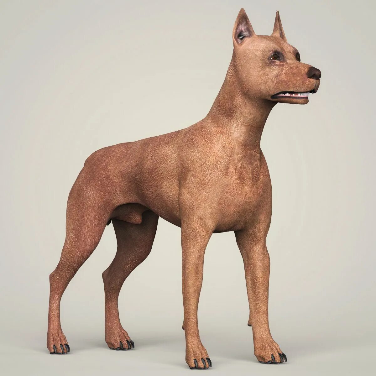 3д модель собаки. Dog 3d model. Щенок 3d модель. 3 собаки. Лабрадор 3д.