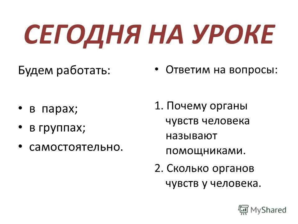 Чувства человека. Вопросы на тему органы чувств человека. 4 Чувства человека.