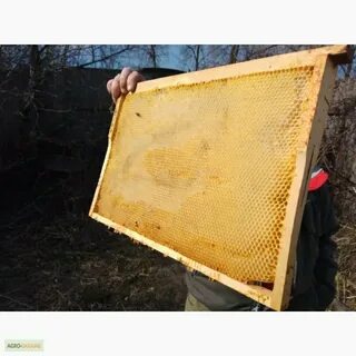 Сушь значение слова