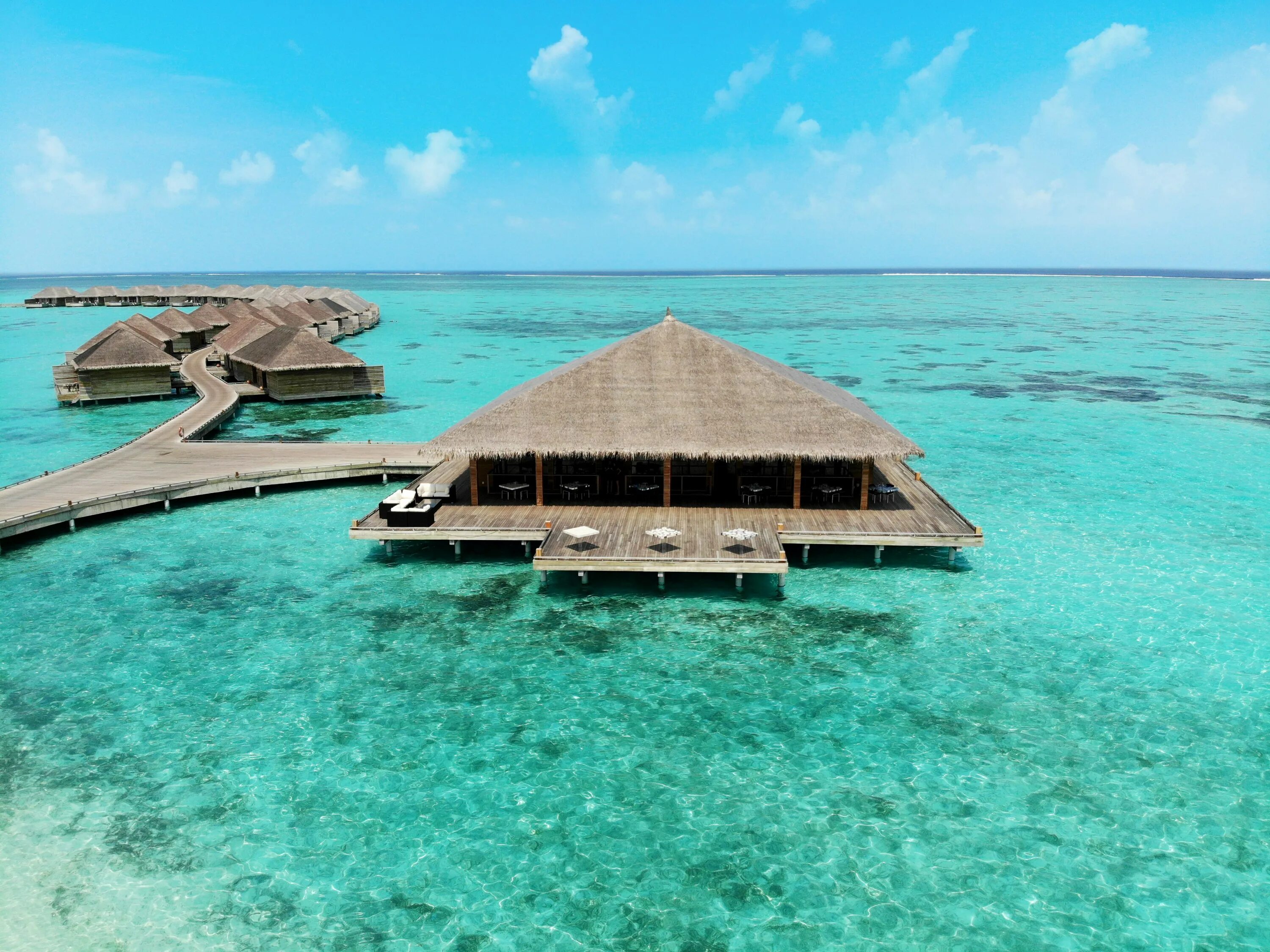 Cocoon maldives. Отель cocoon maldives 5. cocoon maldives-5*, мальдивы, мале. мальдивы остров кокон. мальдивы букинг.